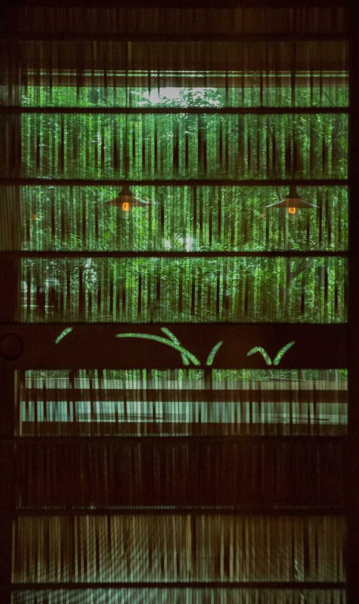 Криптовалюта или традиционные активы — что выбрать?